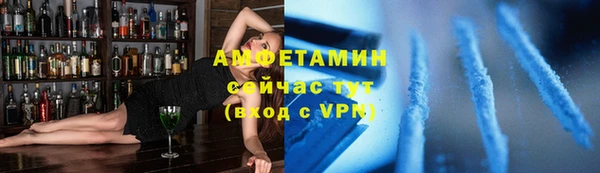 скорость Вяземский