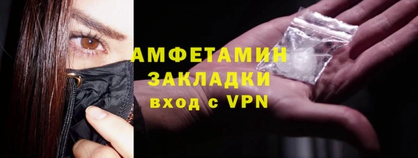 молекула духа Бородино